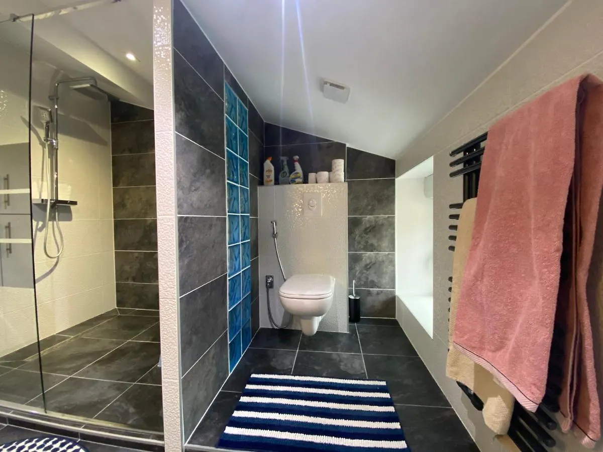 公寓 Residence St Roch Luxe Fauriel Proximite Centre 圣艾蒂安 法国