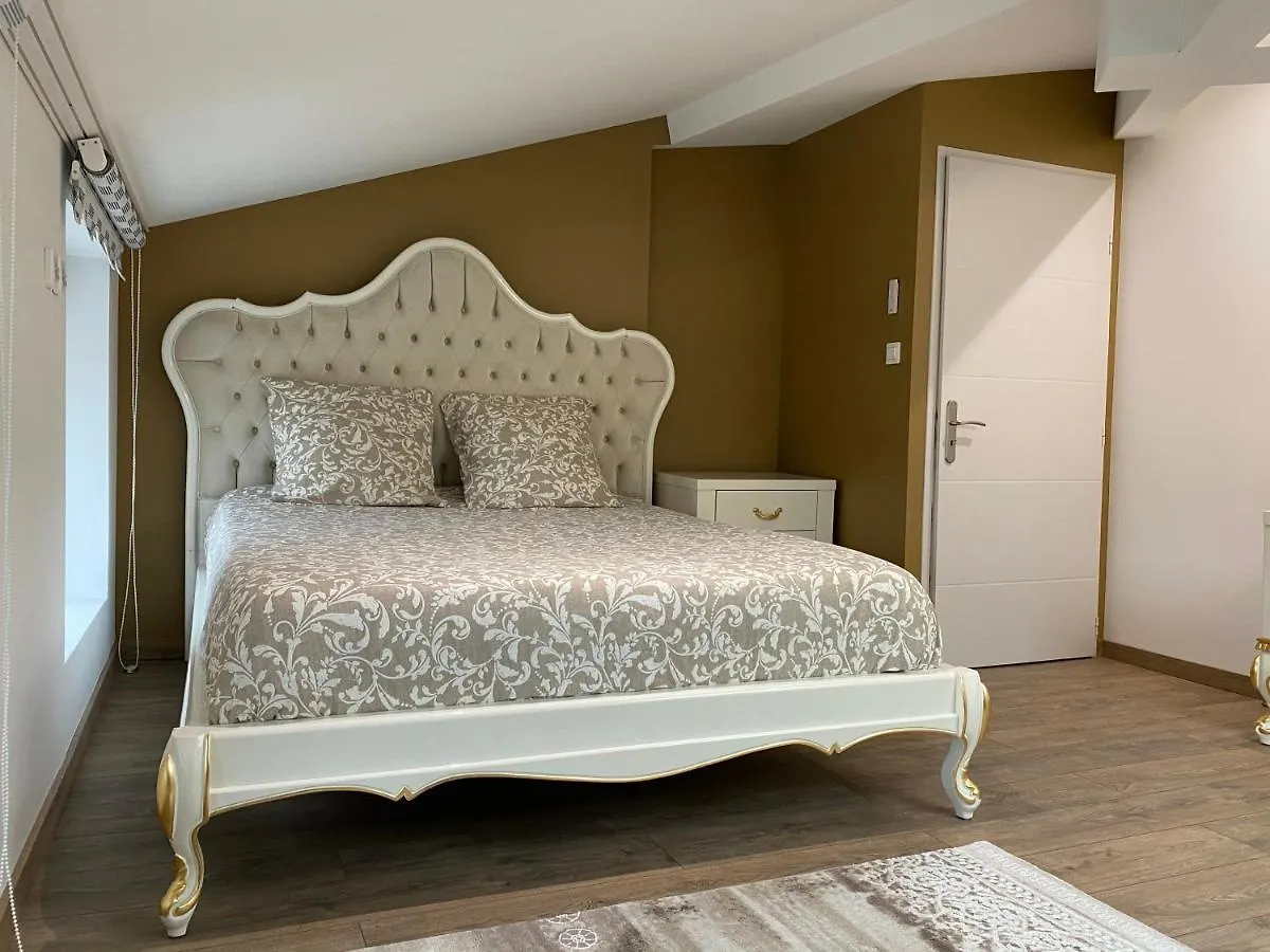 Residence St Roch Luxe Fauriel Proximite Centre 圣艾蒂安 法国