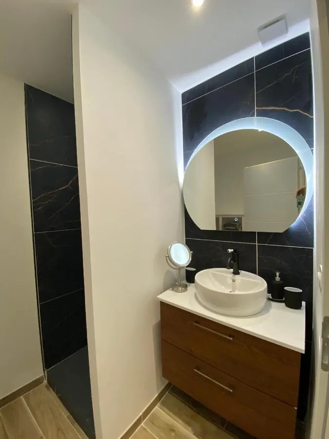 公寓 Residence St Roch Luxe Fauriel Proximite Centre 圣艾蒂安