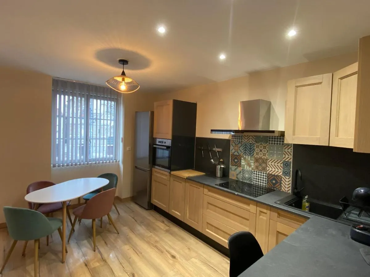 Residence St Roch Luxe Fauriel Proximite Centre 圣艾蒂安 0*,  法国