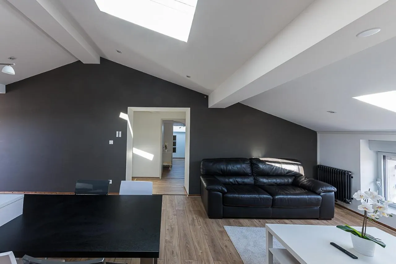 Residence St Roch Luxe Fauriel Proximite Centre 圣艾蒂安 公寓
