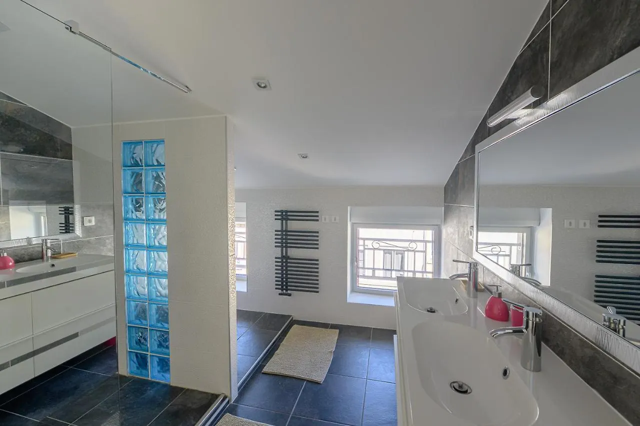 Residence St Roch Luxe Fauriel Proximite Centre 圣艾蒂安 公寓