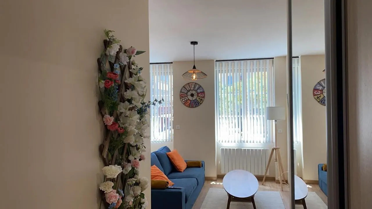 Residence St Roch Luxe Fauriel Proximite Centre Saint-Etienne  Apartment